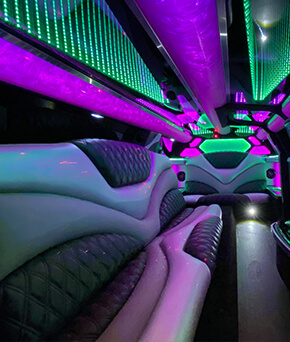 limo service model interior